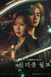 nonton Wonderful World sub indo